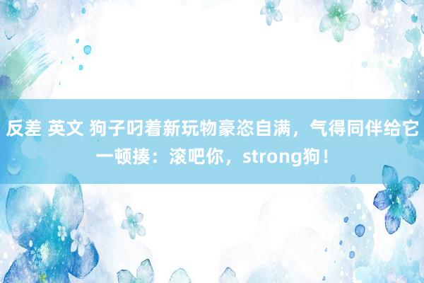 反差 英文 狗子叼着新玩物豪恣自满，气得同伴给它一顿揍：滚吧你，strong狗！