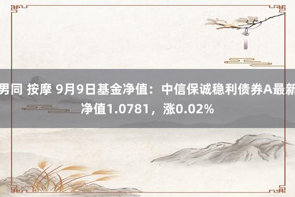 男同 按摩 9月9日基金净值：中信保诚稳利债券A最新净值1.0781，涨0.02%