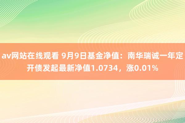 av网站在线观看 9月9日基金净值：南华瑞诚一年定开债发起最新净值1.0734，涨0.01%