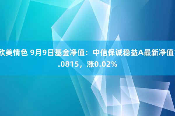 欧美情色 9月9日基金净值：中信保诚稳益A最新净值1.0815，涨0.02%