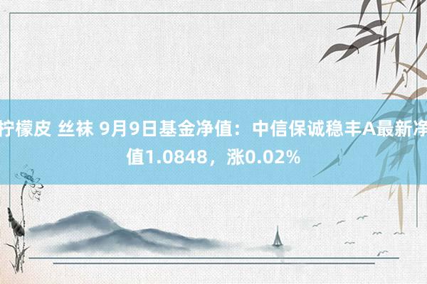 柠檬皮 丝袜 9月9日基金净值：中信保诚稳丰A最新净值1.0848，涨0.02%