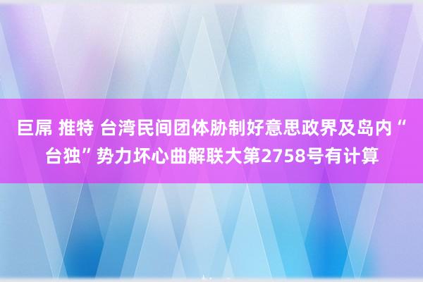 巨屌 推特 台湾民间团体胁制好意思政界及岛内“台独”势力坏心曲解联大第2758号有计算