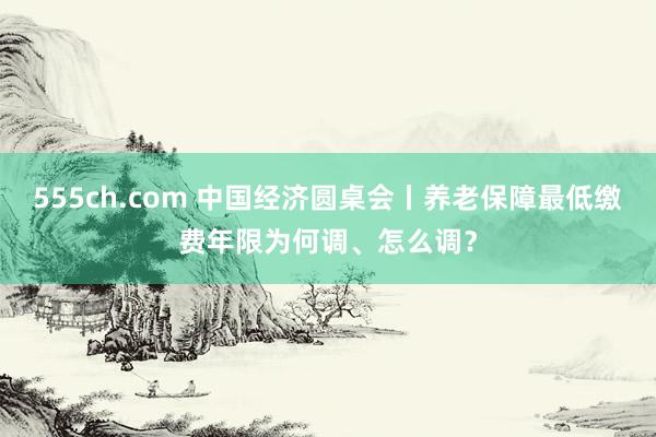 555ch.com 中国经济圆桌会丨养老保障最低缴费年限为何调、怎么调？