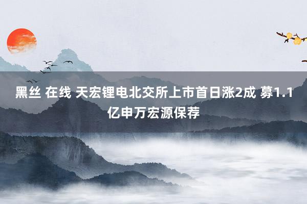 黑丝 在线 天宏锂电北交所上市首日涨2成 募1.1亿申万宏源保荐