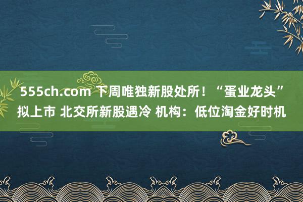 555ch.com 下周唯独新股处所！“蛋业龙头”拟上市 北交所新股遇冷 机构：低位淘金好时机