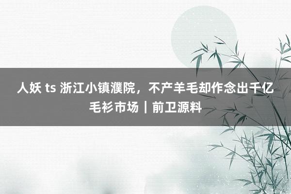 人妖 ts 浙江小镇濮院，不产羊毛却作念出千亿毛衫市场｜前卫源料