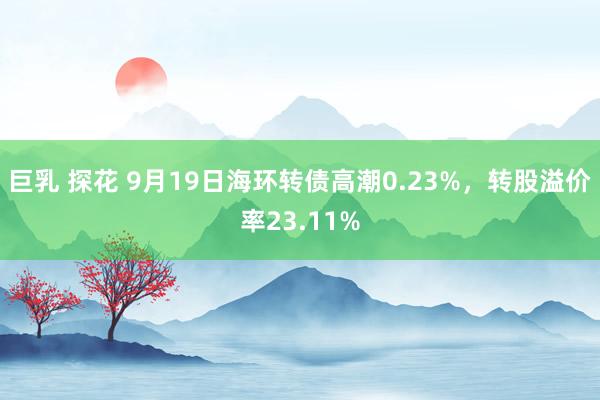 巨乳 探花 9月19日海环转债高潮0.23%，转股溢价率23.11%