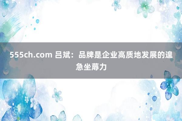 555ch.com 吕斌：品牌是企业高质地发展的遑急坐蓐力