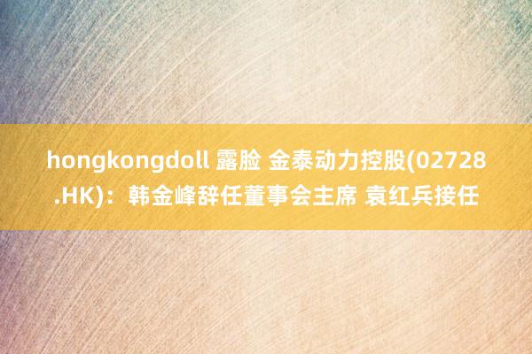 hongkongdoll 露脸 金泰动力控股(02728.HK)：韩金峰辞任董事会主席 袁红兵接任