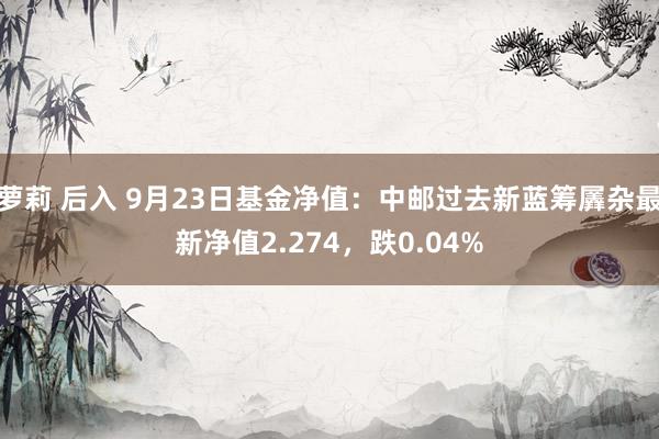 萝莉 后入 9月23日基金净值：中邮过去新蓝筹羼杂最新净值2.274，跌0.04%