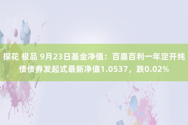 探花 极品 9月23日基金净值：百嘉百利一年定开纯债债券发起式最新净值1.0537，跌0.02%