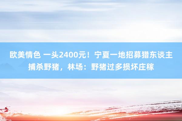 欧美情色 一头2400元！宁夏一地招募猎东谈主捕杀野猪，林场：野猪过多损坏庄稼