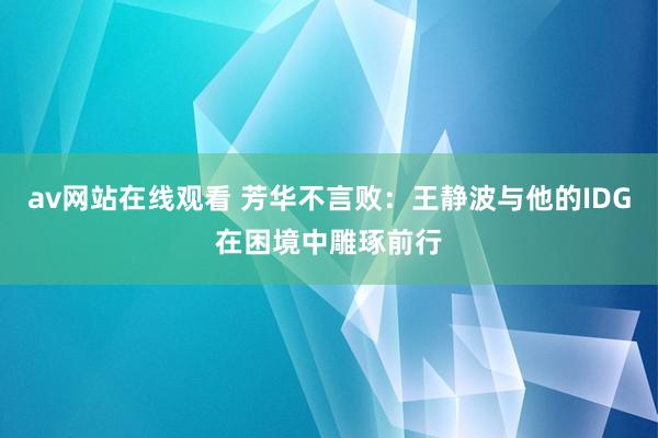 av网站在线观看 芳华不言败：王静波与他的IDG在困境中雕琢前行