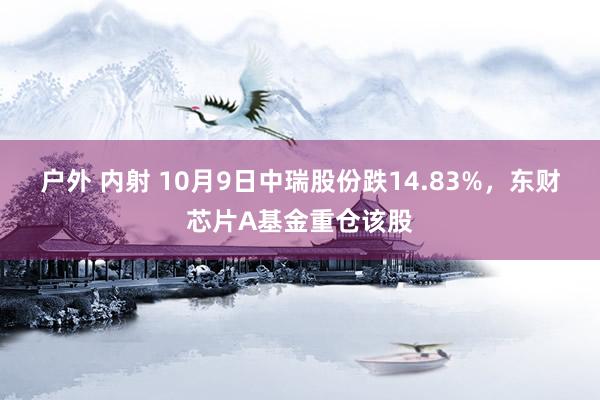 户外 内射 10月9日中瑞股份跌14.83%，东财芯片A基金重仓该股