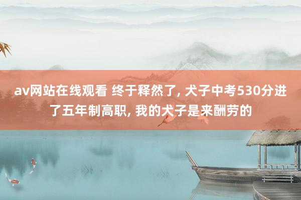 av网站在线观看 终于释然了， 犬子中考530分进了五年制高职， 我的犬子是来酬劳的