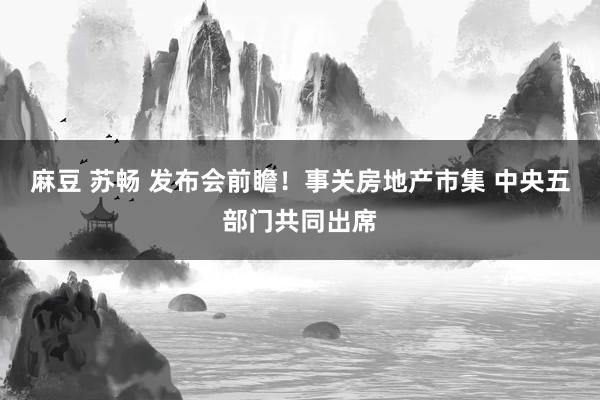 麻豆 苏畅 发布会前瞻！事关房地产市集 中央五部门共同出席