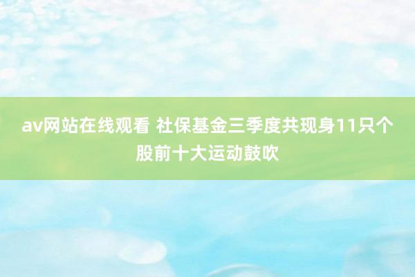 av网站在线观看 社保基金三季度共现身11只个股前十大运动鼓吹