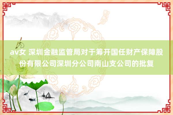 av女 深圳金融监管局对于筹开国任财产保障股份有限公司深圳分公司南山支公司的批复