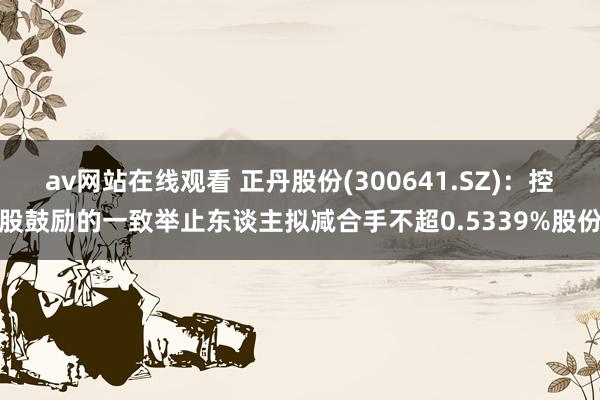 av网站在线观看 正丹股份(300641.SZ)：控股鼓励的一致举止东谈主拟减合手不超0.5339%股份