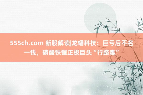 555ch.com 新股解读|龙蟠科技：巨亏后不名一钱，磷酸铁锂正极巨头“行路难”