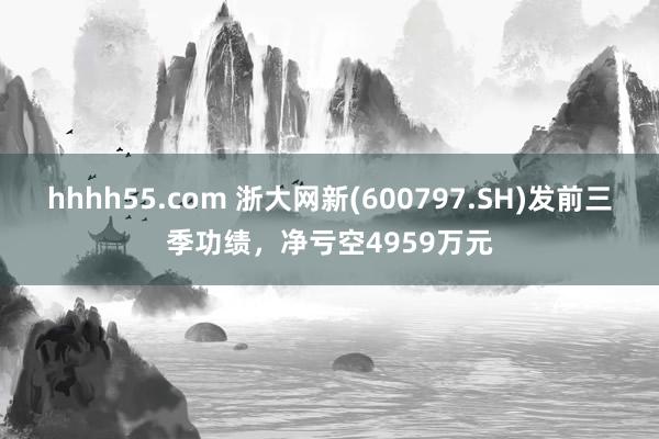 hhhh55.com 浙大网新(600797.SH)发前三季功绩，净亏空4959万元