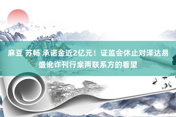 麻豆 苏畅 承诺金近2亿元！证监会休止对泽达易盛讹诈刊行案两联系方的看望