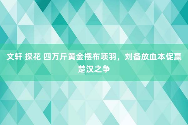 文轩 探花 四万斤黄金摆布项羽，刘备放血本促赢楚汉之争