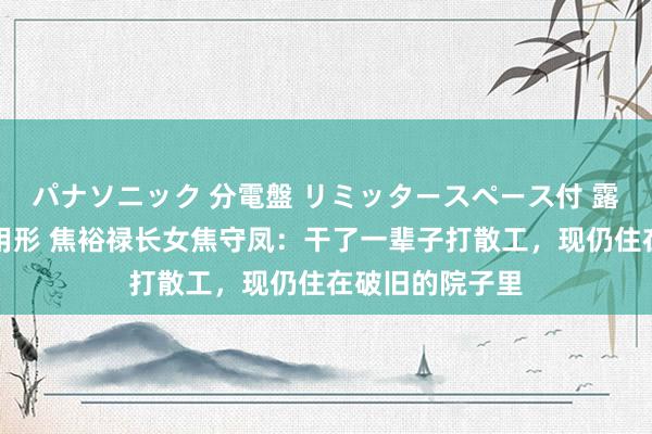 パナソニック 分電盤 リミッタースペース付 露出・半埋込両用形 焦裕禄长女焦守凤：干了一辈子打散工，现仍住在破旧的院子里