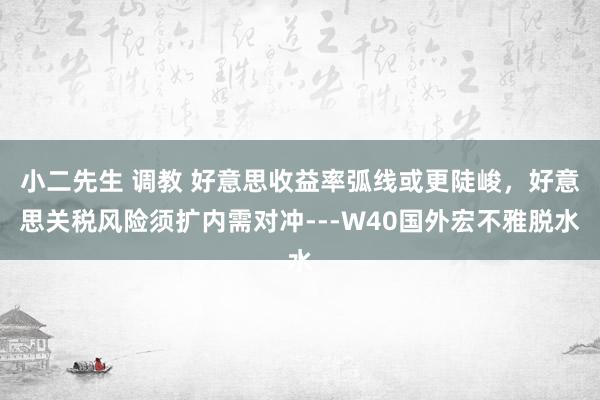 小二先生 调教 好意思收益率弧线或更陡峻，好意思关税风险须扩内需对冲---W40国外宏不雅脱水