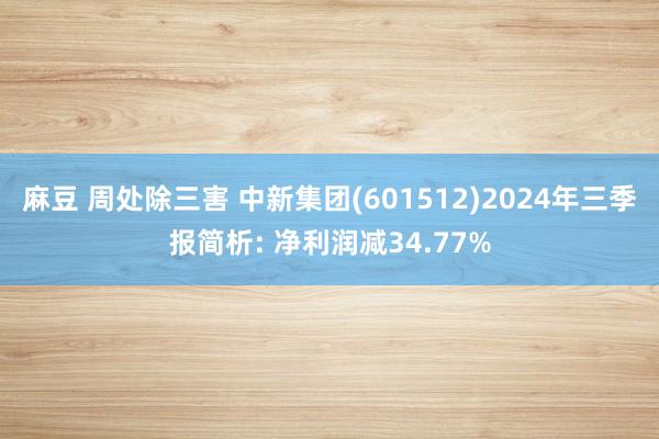 麻豆 周处除三害 中新集团(601512)2024年三季报简析: 净利润减34.77%