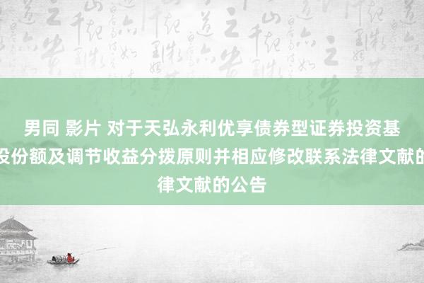 男同 影片 对于天弘永利优享债券型证券投资基金增设份额及调节收益分拨原则并相应修改联系法律文献的公告