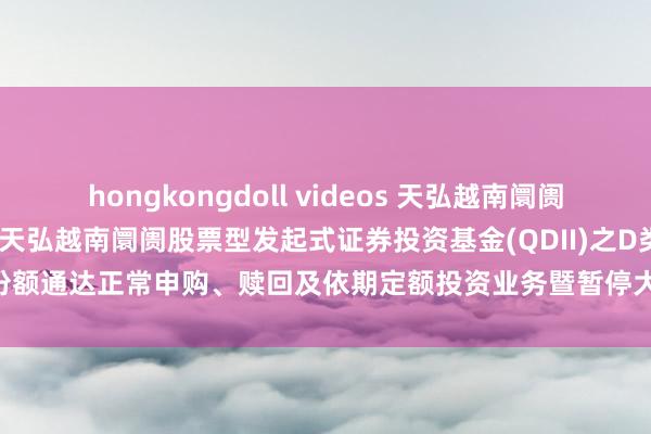 hongkongdoll videos 天弘越南阛阓股票发起(QDII)D: 对于天弘越南阛阓股票型发起式证券投资基金(QDII)之D类基金份额通达正常申购、赎回及依期定额投资业务暨暂停大额申购和依期定额投资业务的公告