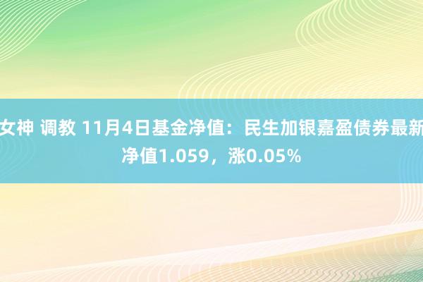 女神 调教 11月4日基金净值：民生加银嘉盈债券最新净值1.059，涨0.05%