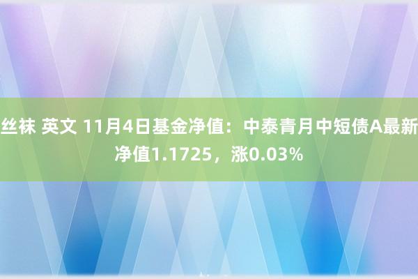 丝袜 英文 11月4日基金净值：中泰青月中短债A最新净值1.1725，涨0.03%