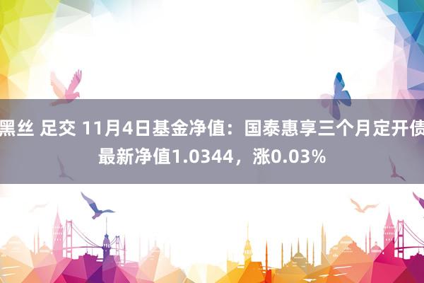 黑丝 足交 11月4日基金净值：国泰惠享三个月定开债最新净值1.0344，涨0.03%