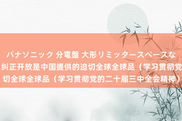 パナソニック 分電盤 大形リミッタースペースなし 露出・半埋込両用形 纠正开放是中国提供的迫切全球全球品（学习贯彻党的二十届三中全会精神）