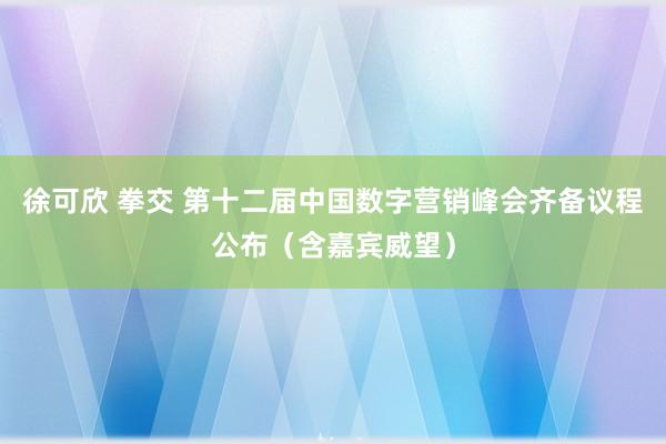 徐可欣 拳交 第十二届中国数字营销峰会齐备议程公布（含嘉宾威望）