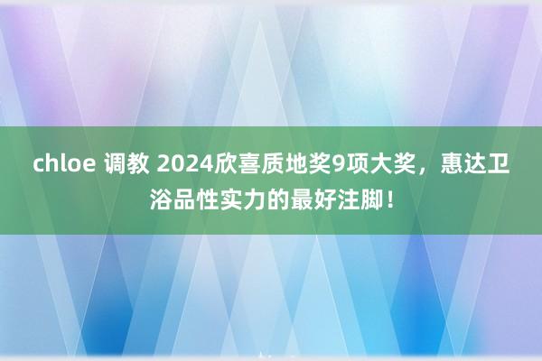 chloe 调教 2024欣喜质地奖9项大奖，惠达卫浴品性实力的最好注脚！