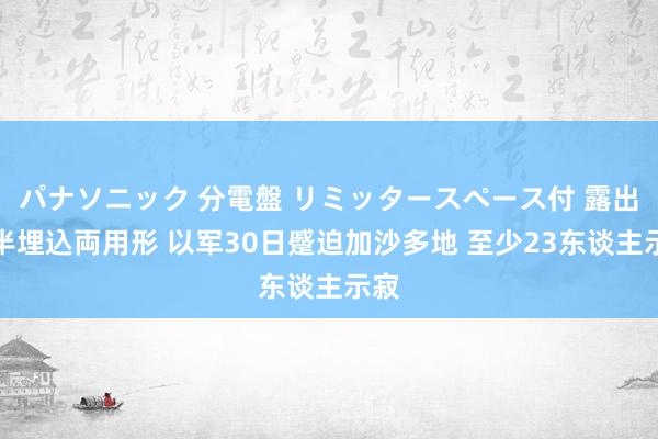 パナソニック 分電盤 リミッタースペース付 露出・半埋込両用形 以军30日蹙迫加沙多地 至少23东谈主示寂