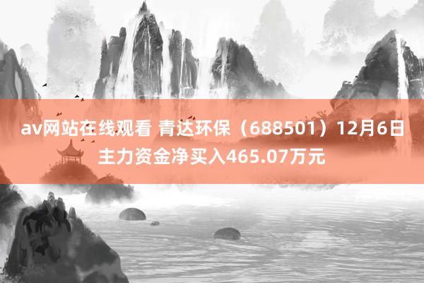 av网站在线观看 青达环保（688501）12月6日主力资金净买入465.07万元