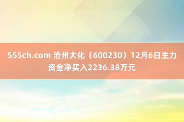 555ch.com 沧州大化（600230）12月6日主力资金净买入2236.38万元