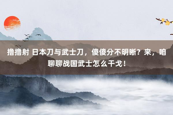 撸撸射 日本刀与武士刀，傻傻分不明晰？来，咱聊聊战国武士怎么干戈！