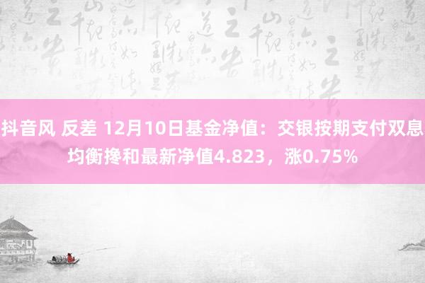 抖音风 反差 12月10日基金净值：交银按期支付双息均衡搀和最新净值4.823，涨0.75%