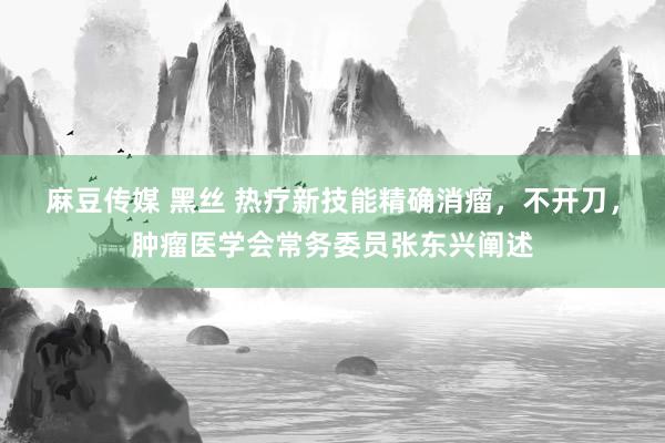 麻豆传媒 黑丝 热疗新技能精确消瘤，不开刀，肿瘤医学会常务委员张东兴阐述