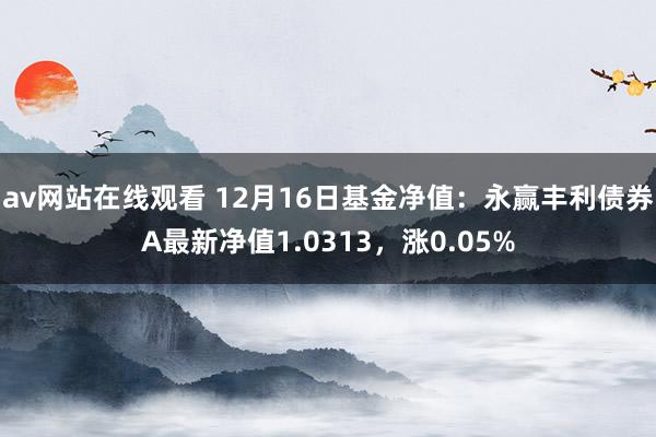 av网站在线观看 12月16日基金净值：永赢丰利债券A最新净值1.0313，涨0.05%