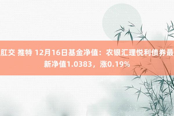 肛交 推特 12月16日基金净值：农银汇理悦利债券最新净值1.0383，涨0.19%