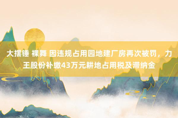 大摆锤 裸舞 因违规占用园地建厂房再次被罚，力王股份补缴43万元耕地占用税及滞纳金