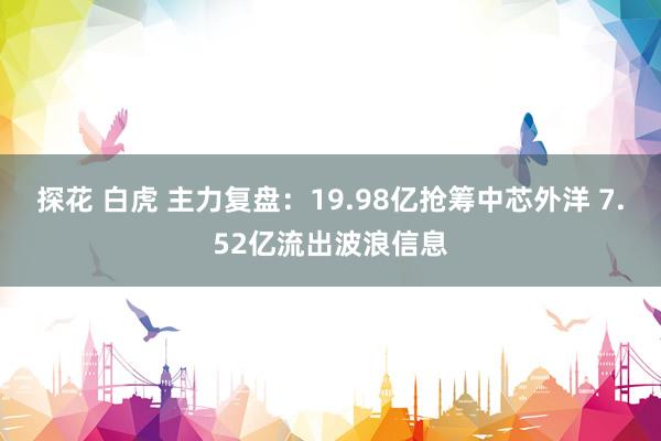 探花 白虎 主力复盘：19.98亿抢筹中芯外洋 7.52亿流出波浪信息