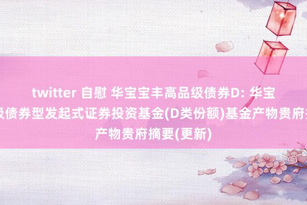 twitter 自慰 华宝宝丰高品级债券D: 华宝宝丰高品级债券型发起式证券投资基金(D类份额)基金产物贵府摘要(更新)