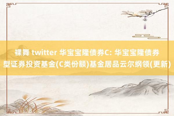 裸舞 twitter 华宝宝隆债券C: 华宝宝隆债券型证券投资基金(C类份额)基金居品云尔纲领(更新)